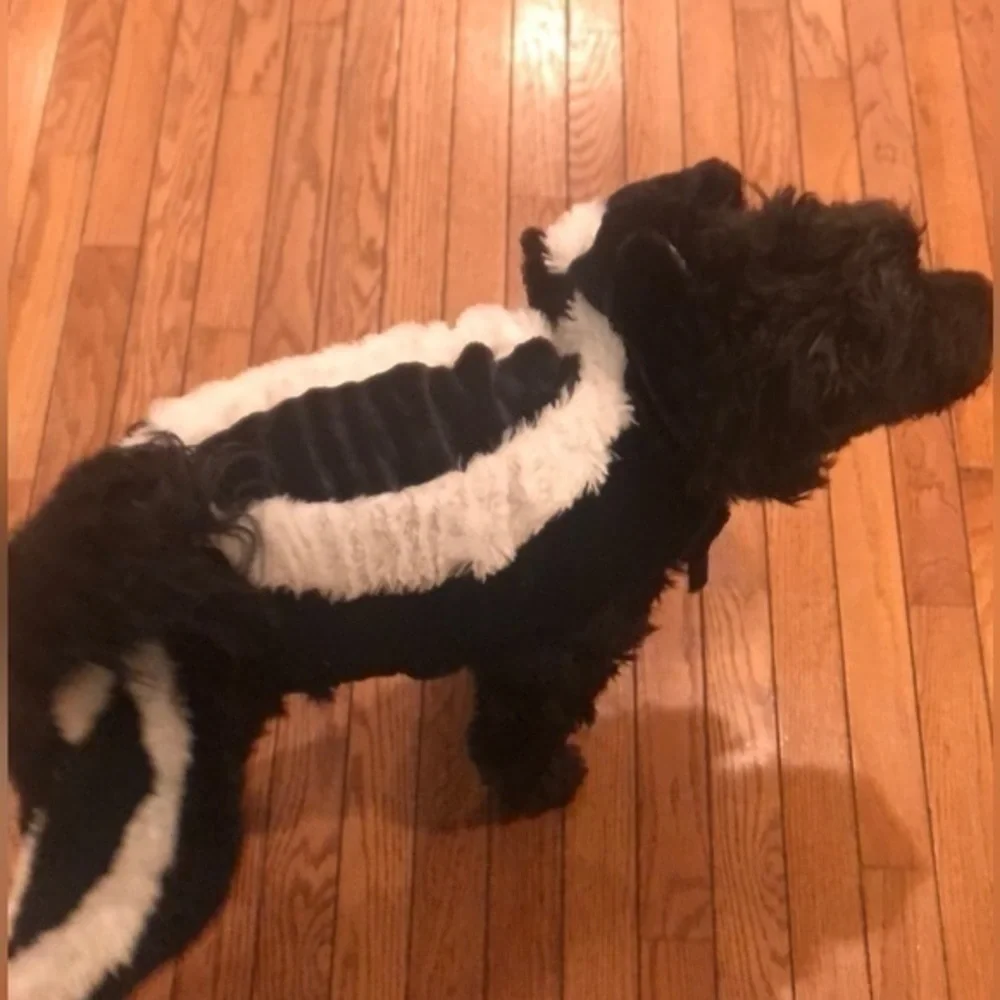 Target dog skunk